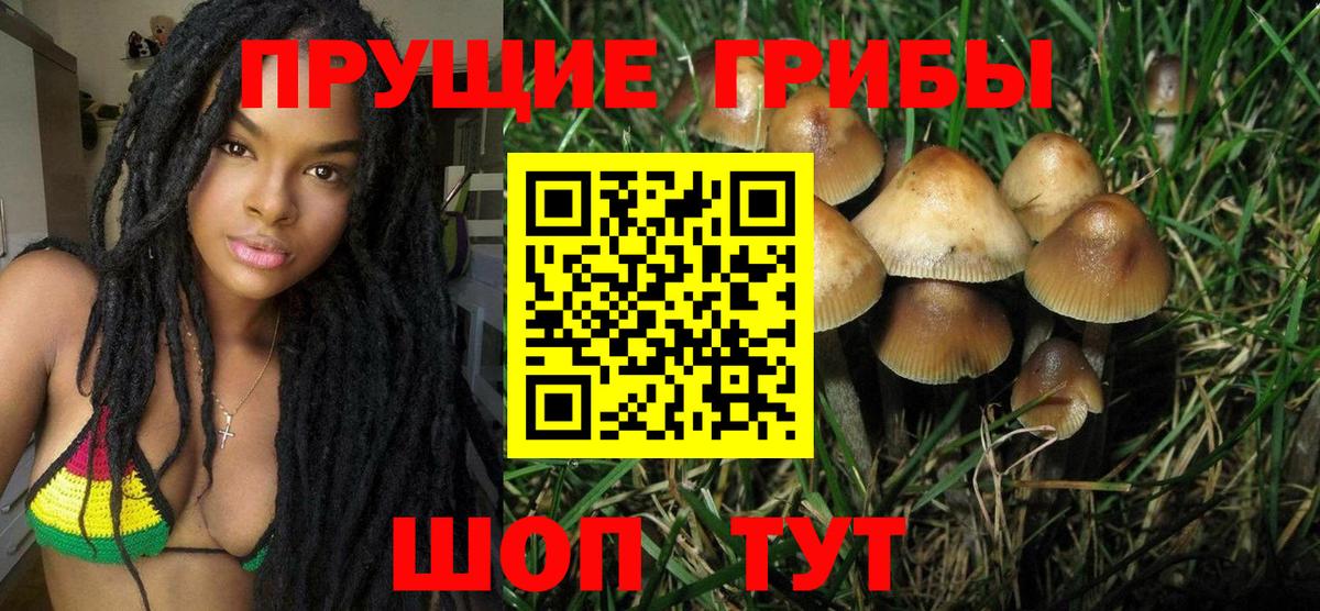 Псилоцибиновые грибы мухоморы  что такое наркотик  Свободный  Галлюциногенные грибы MAGIC MUSHROOMS  Вход с VPN 